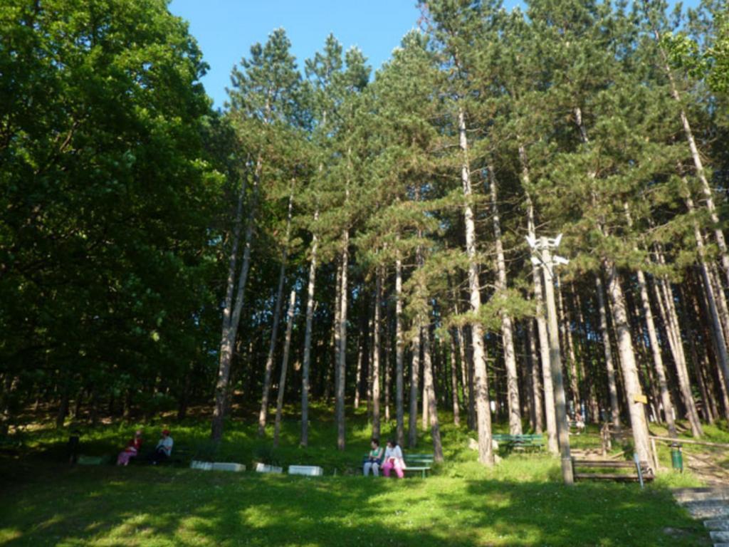 Guesthouse Edelnice Gornja Trepca Екстер'єр фото