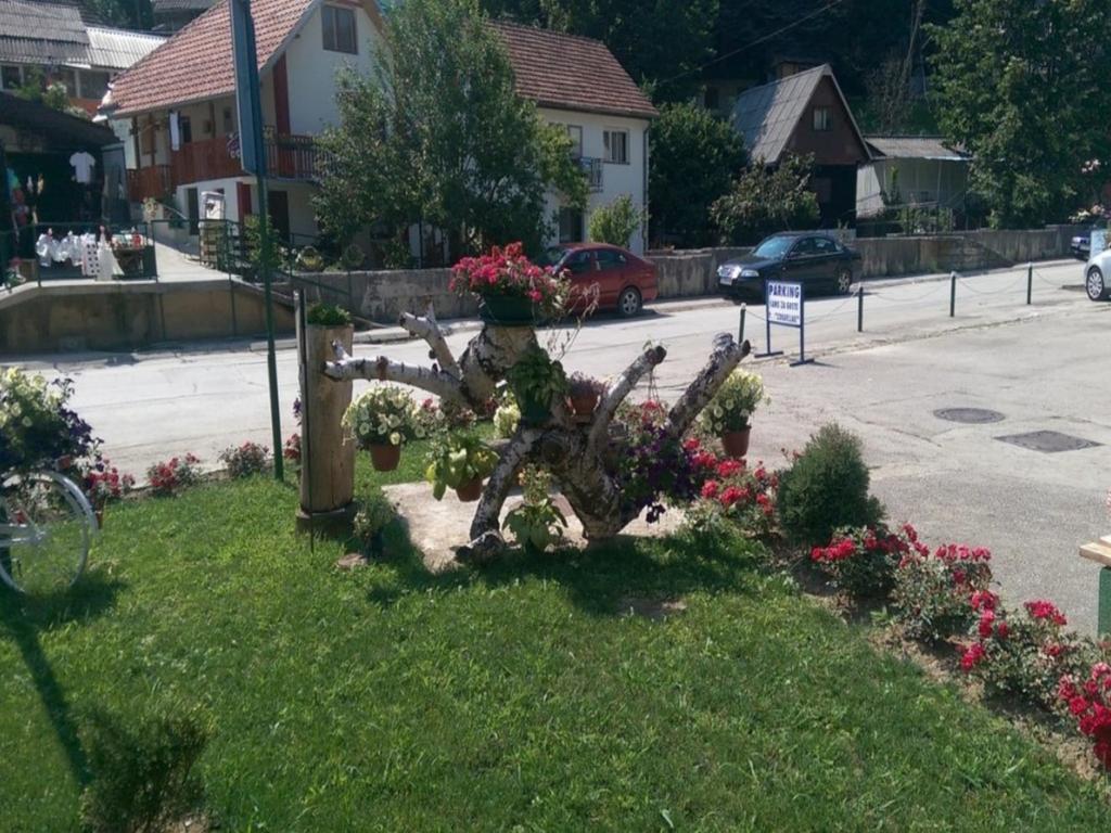 Guesthouse Edelnice Gornja Trepca Екстер'єр фото